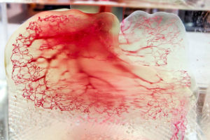 3D Systems baut regenerative Medizin aus