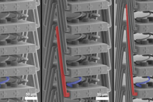 Additiv gefertigtes Metamaterial verfügt über neuartige Dehnungseigenschaften