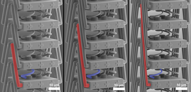 Additiv gefertigtes Metamaterial verfügt über neuartige Dehnungseigenschaften