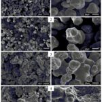 Durch_Variation_der_Druckparameter_lassen_sich_unterschiedliche_Porositäten_erzielen