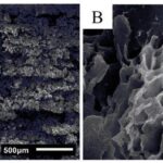 Durch_Variation_der_Druckparameter_lassen_sich_unterschiedliche_Porositäten_erzielen