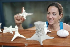 3D-Druck rettet Korallen